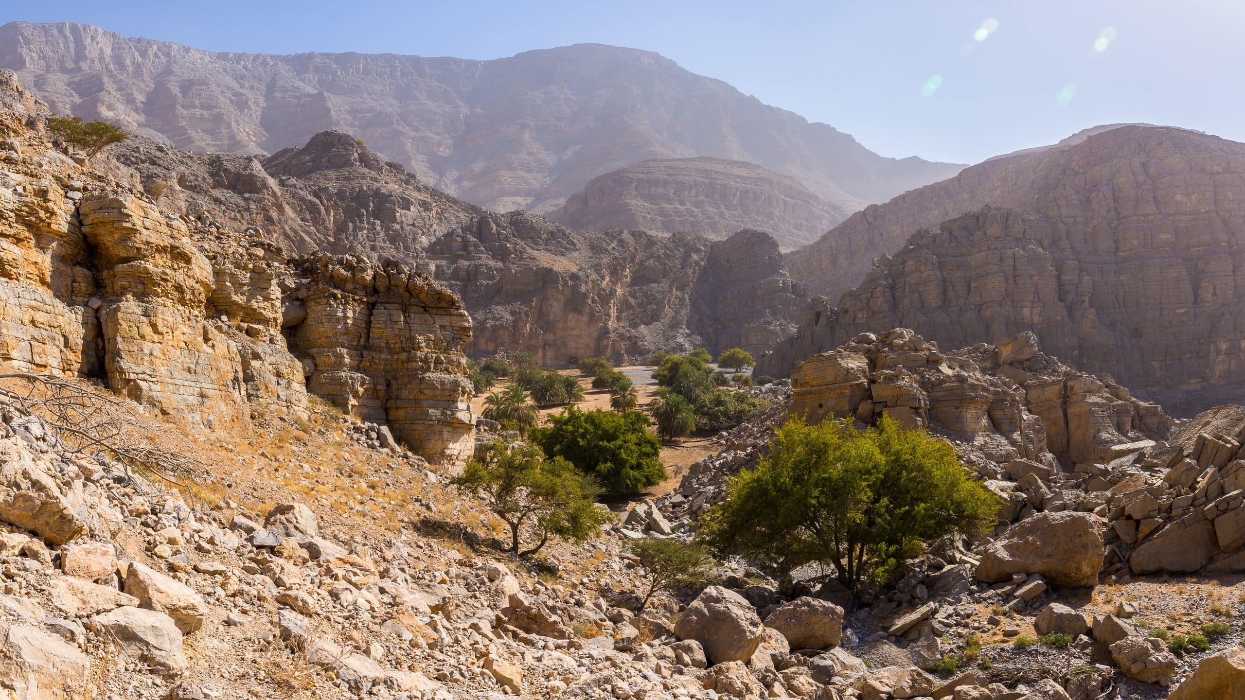 A palm oasis among the rocks of Jebel Jais, Ras Al Khaimah